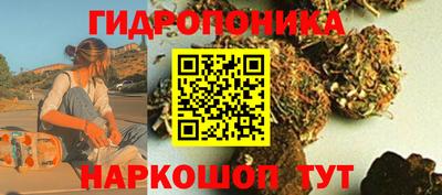 твердый Лесосибирск