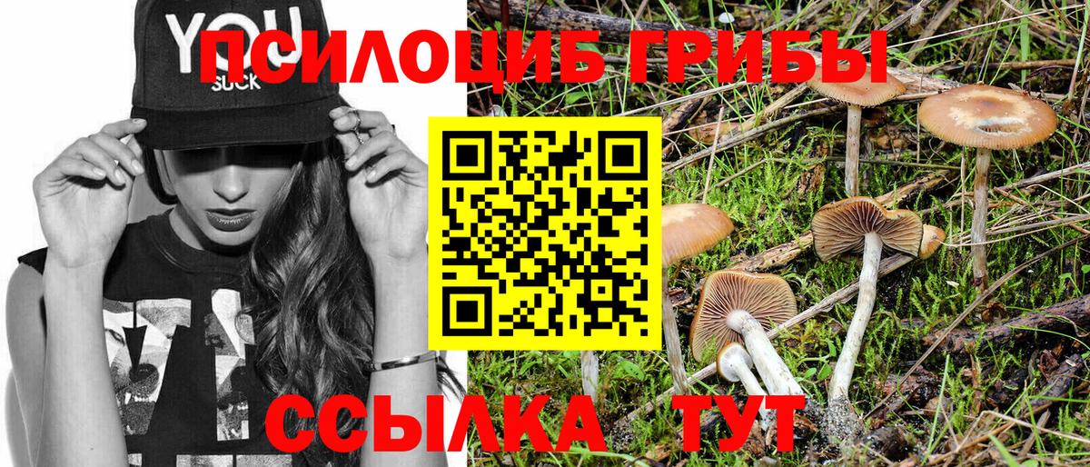 Псилоцибиновые грибы прущие грибы  Вход с VPN  Донской  Псилоцибиновые грибы Psilocybine cubensis 